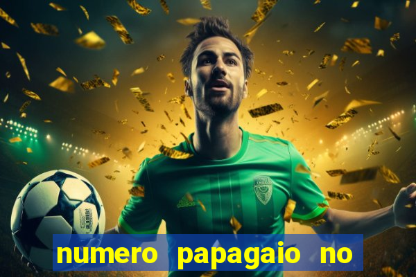 numero papagaio no jogo do bicho