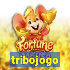 tribojogo