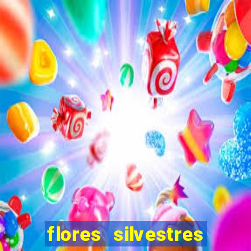 flores silvestres desbravadores desbravadores 25