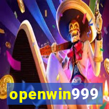 openwin999