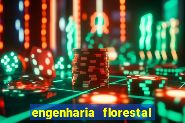 engenharia florestal ead cruzeiro do sul