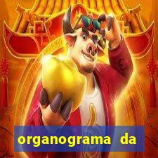 organograma da cacau show