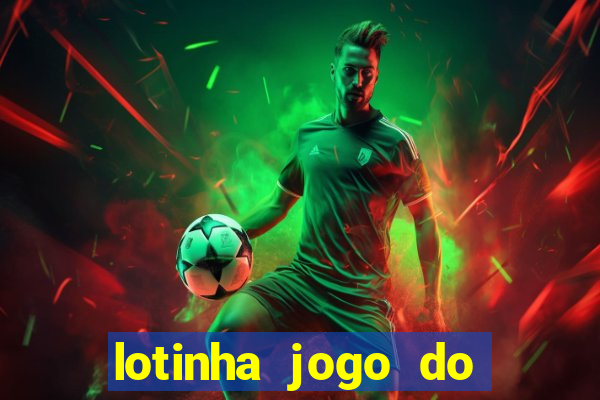 lotinha jogo do bicho como funciona