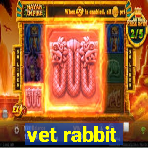 vet rabbit