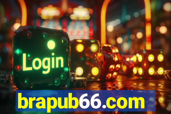 brapub66.com