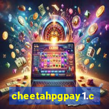 cheetahpgpay1.com