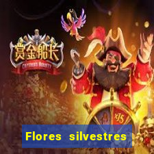 Flores silvestres brasileiras brasileiras flores silvestres nomes e imagens