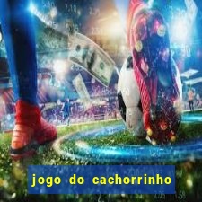 jogo do cachorrinho que ganha dinheiro