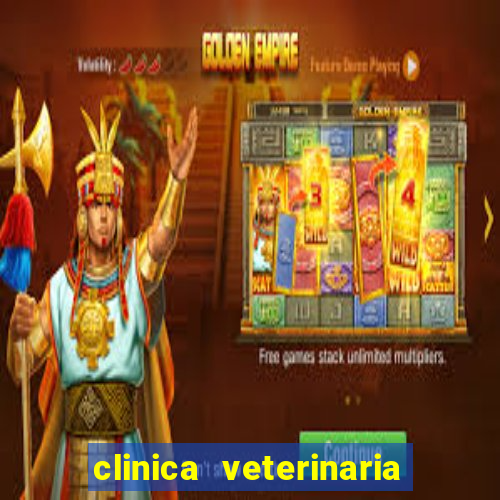 clinica veterinaria cuidar betim