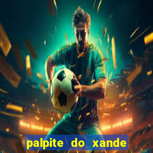 palpite do xande para hoje