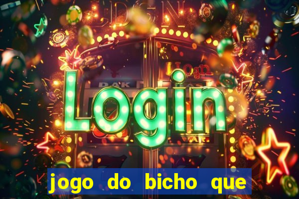 jogo do bicho que paga no pix