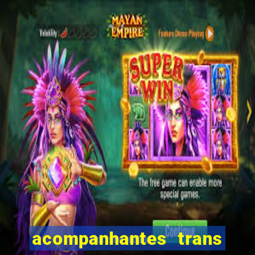 acompanhantes trans porto seguro