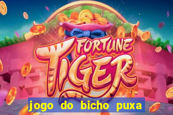 jogo do bicho puxa de dona maria