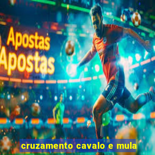 cruzamento cavalo e mula