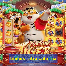 bichos atrasado na loteria dos sonhos