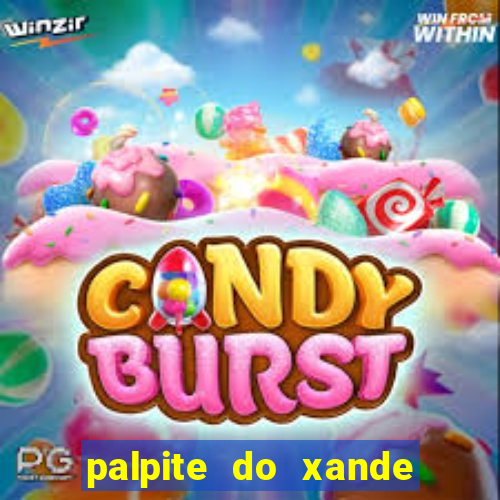 palpite do xande de hoje