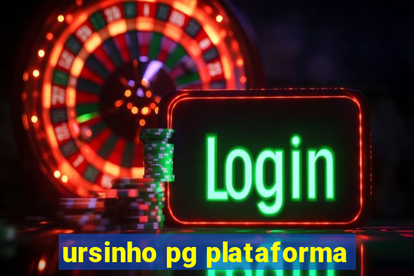 ursinho pg plataforma