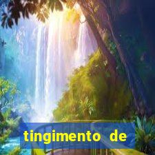 tingimento de roupas porto alegre