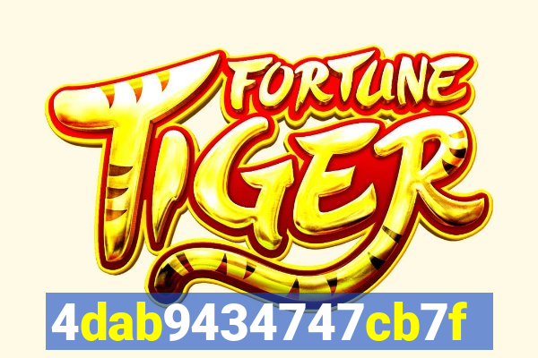 255bet com