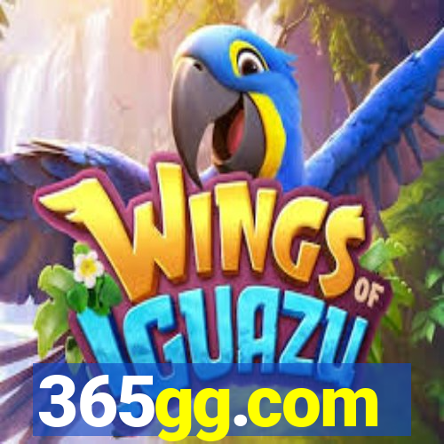365gg.com