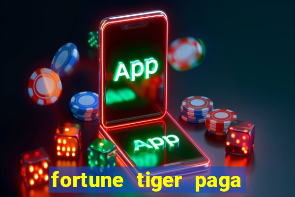 fortune tiger paga de madrugada
