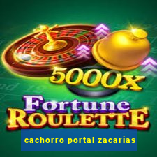 cachorro portal zacarias