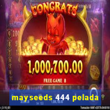 mayseeds 444 pelada