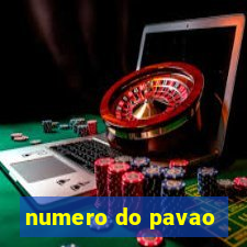numero do pavao