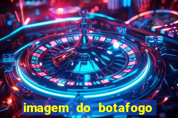 imagem do botafogo zuando o palmeiras
