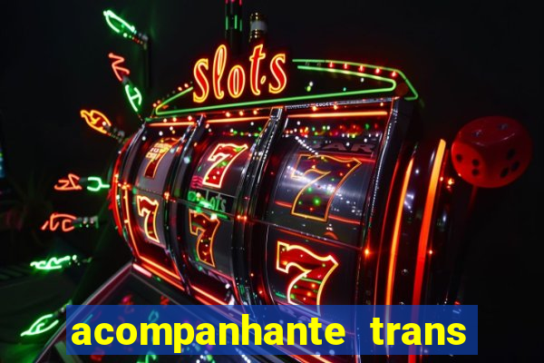 acompanhante trans baixada fluminense