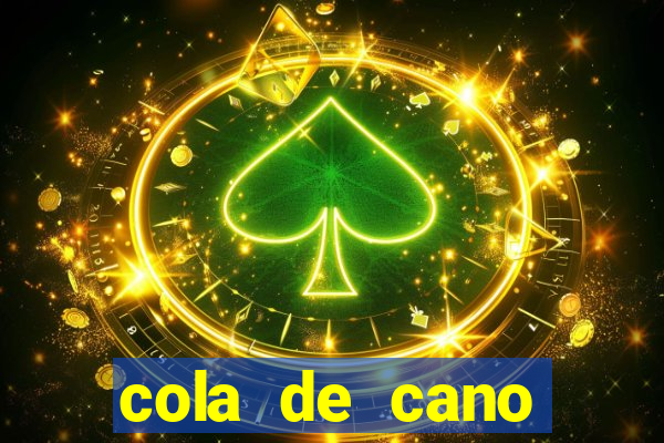 cola de cano quanto tempo para secar