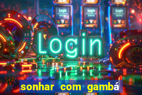 sonhar com gambá jogo do bicho