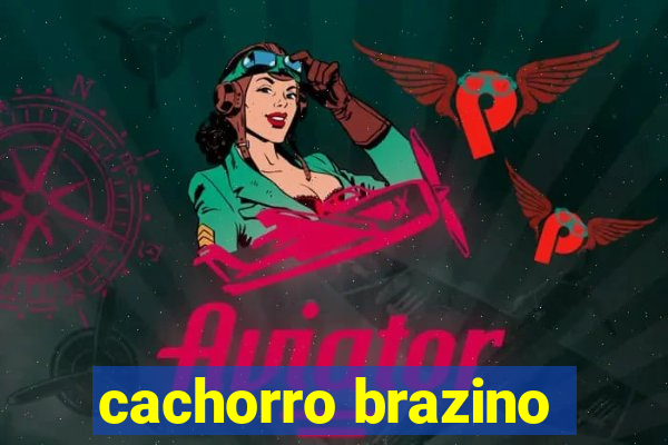 cachorro brazino