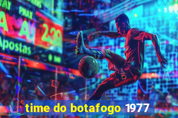 time do botafogo 1977