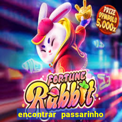 encontrar passarinho morto significado