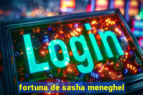 fortuna de sasha meneghel