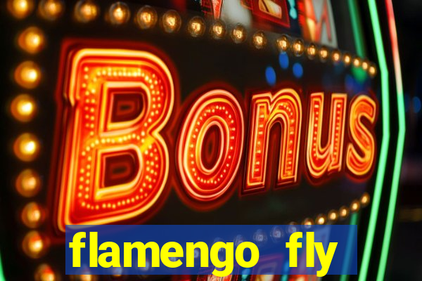 flamengo fly emirates ultimas noticias