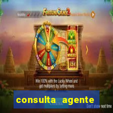 consulta agente autuador sp