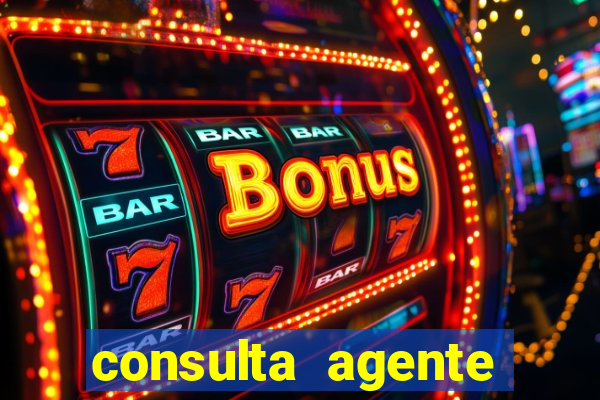 consulta agente autuador sp