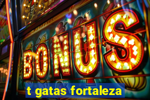 t gatas fortaleza