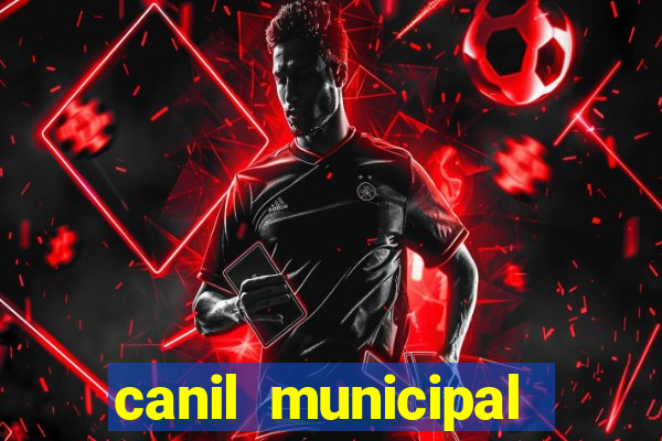 canil municipal porto alegre