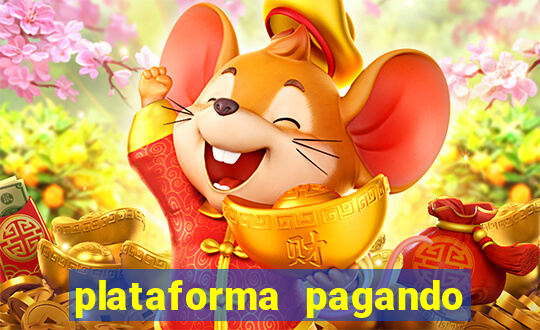plataforma pagando bem hoje