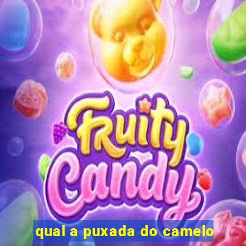 qual a puxada do camelo