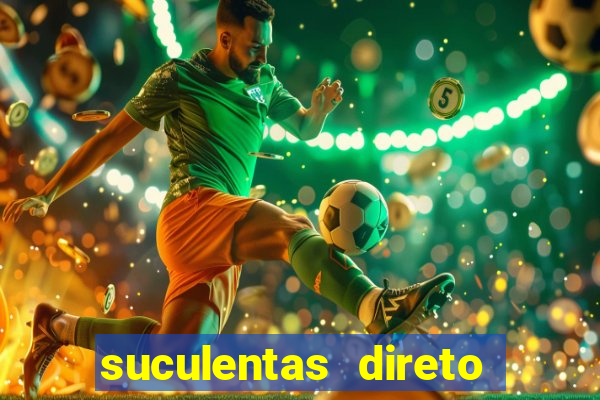 suculentas direto do produtor rs