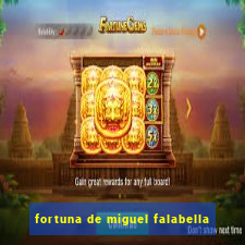 fortuna de miguel falabella