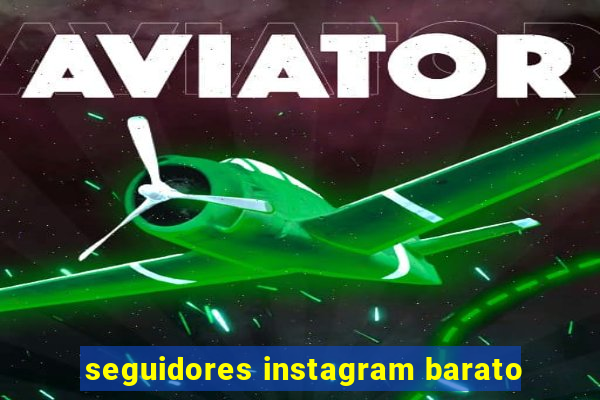 seguidores instagram barato