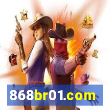 868br01.com