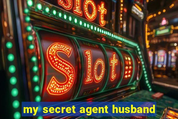my secret agent husband