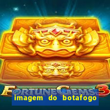 imagem do botafogo zuando o palmeiras