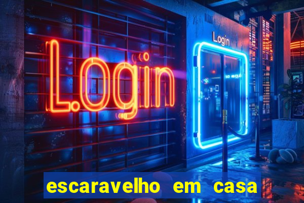 escaravelho em casa significado espiritual